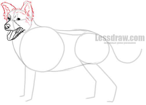 Каштанка рисунок поэтапно