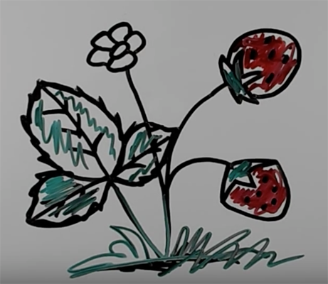 Поэтапное рисование куста земляники