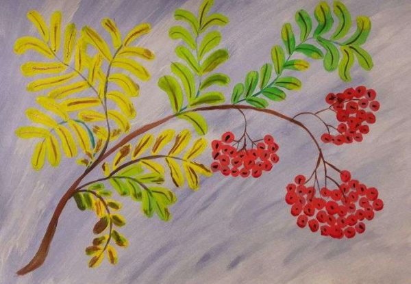 Ветка рябины рисование