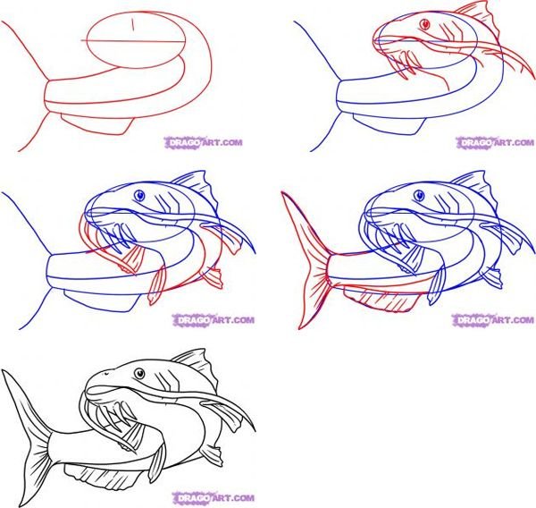 Учимся рисовать для детей 7 лет поэтапно карандашом