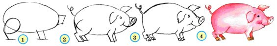 Схема рисунок свиньи для презентации