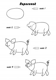 Поэтапное рисование свиньи старшая группа