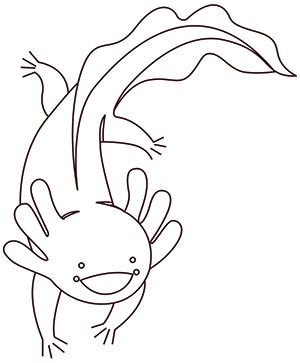 Раскраски аксолотль раскраска