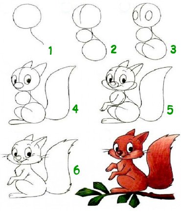 Поэтапное рисование белки