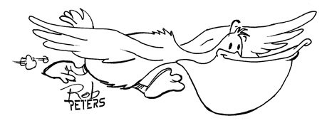 Летящий Пеликан контур