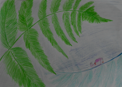 Папоротник цветными карандашами