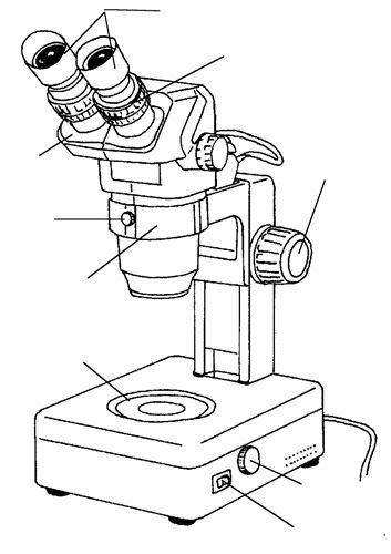 Рисунок микроскопа срисовать