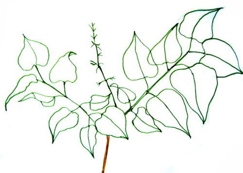 Сирена головного для рисования