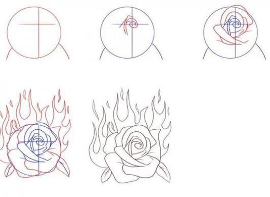 Поэтапное рисование розы ручкой