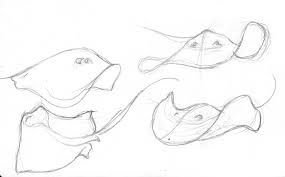 Нарисовать ската пошагово