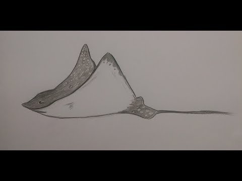 Скат поэтапно