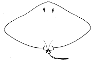 Игрушка Скат выкройка