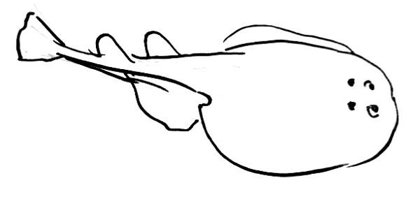 Скат карандашом поэтапно