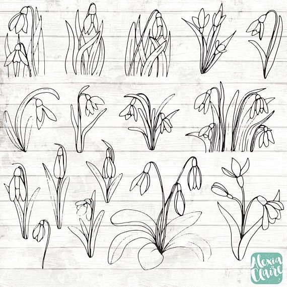 Рисование подснежники пошагово