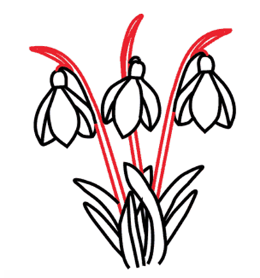 Подснежник схематично