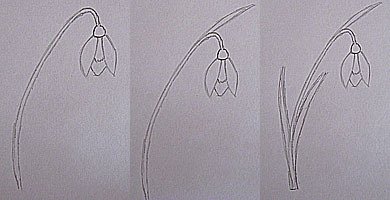 Нарисовать Подснежник поэтапно