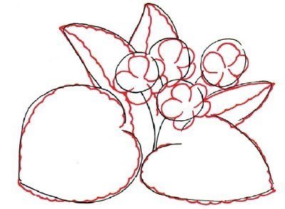 Поэтапное рисование фиалки