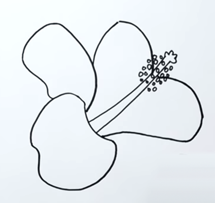 Бутон фиалки карандашом