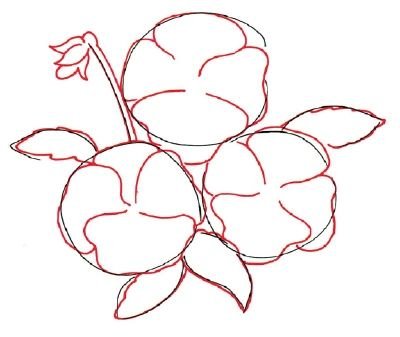 Анютины глазки поэтапное рисование