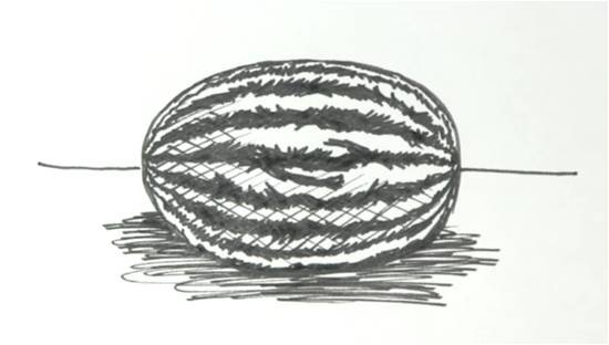 Как нарисовать дыню поэтапно