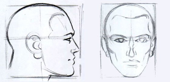 Схема головы человека в профиль и анфас