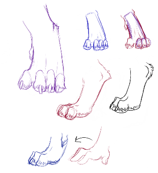 Лапа кошки скетч