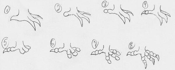 Рисование лапы орла