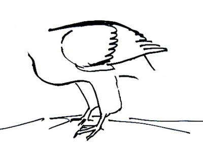 Ястреб нарисовать ребенку поэтапно