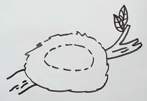 Поэтапное рисование гнезда для птиц детям