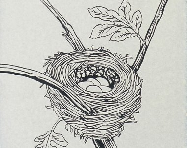 Змея в гнезде рисунок