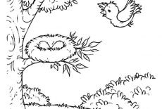 Птенец вылетает из гнезда рисунок