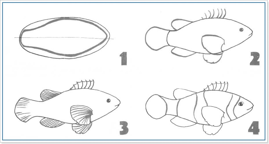 Рисунок рыба 2 класс. Рыба клоун поэтапное рисование. Схема рисования рыбы. Поэтапное рисование рыбки. Схема рисования рыбы для детей.