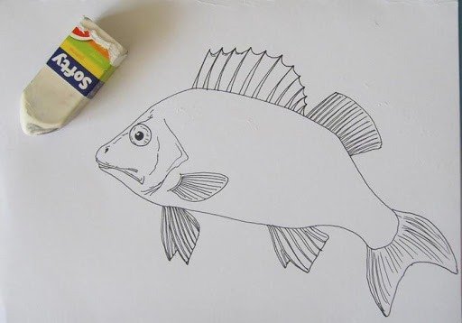 Окунь для рисования