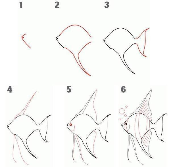 Рисование рыбы поэтапно