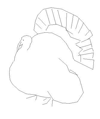 Turkey индюк for Kids