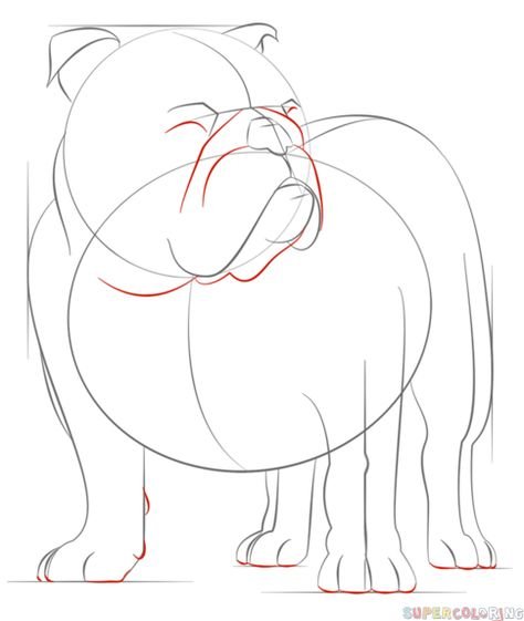 Бульдог рисование для детей