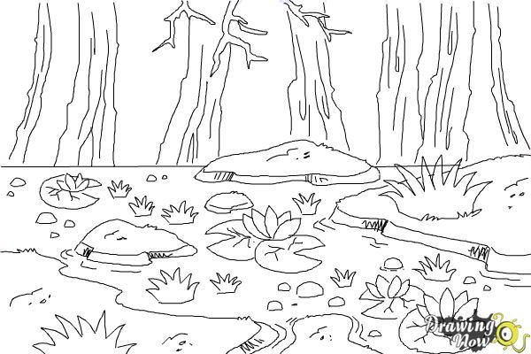 Болото для срисовки