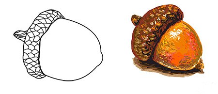 Рисование ветка дуба с желудями