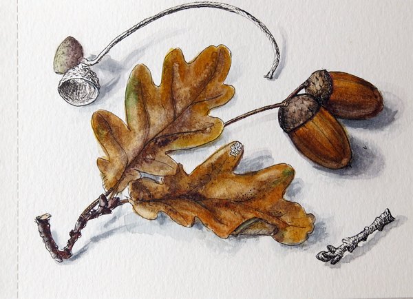 Желуди фактуры ч/б