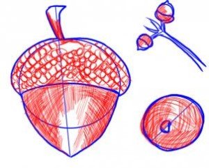Желудь цветной на бумаге