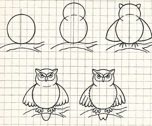 Поэтапное рисование Совы