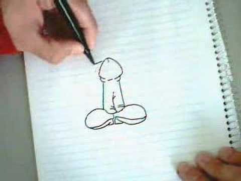 Член рисунок