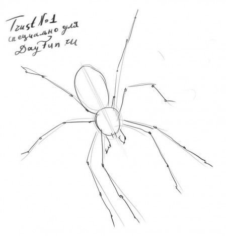 Паук туториал рисунок