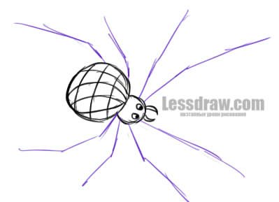 Паук зарисовка