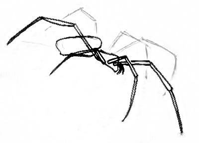 Рисуем паука поэтапно