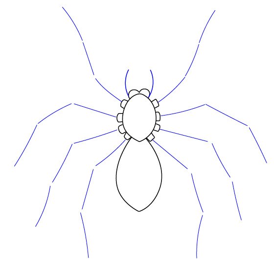 Паук для срисовки