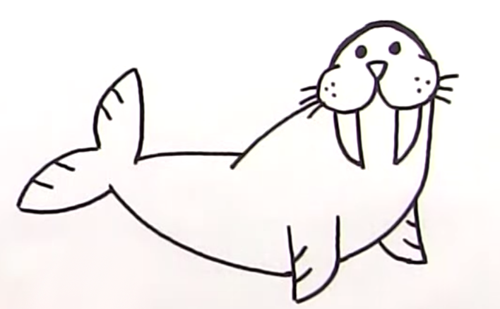 Рисование моржа в старшей группе