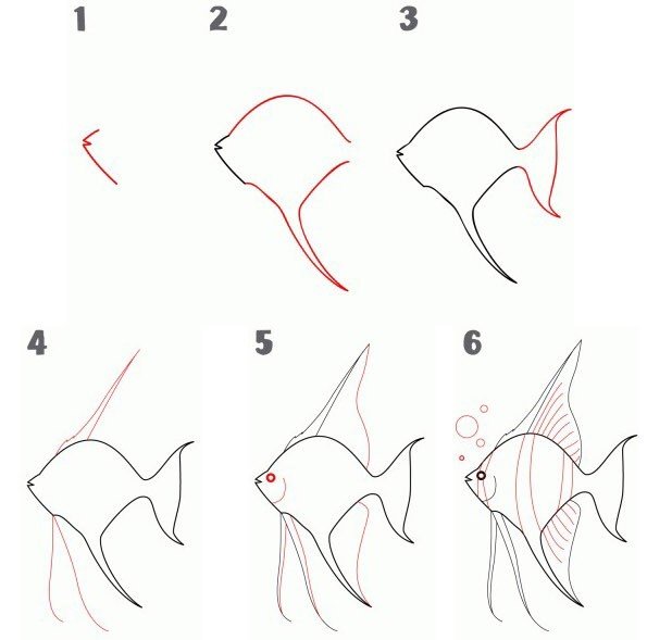 Рисование рыбы поэтапно