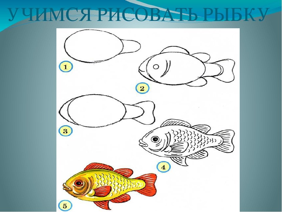 Рыбы рисунок 3 класс