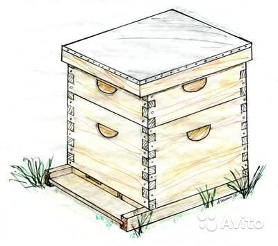 Пасека скетч